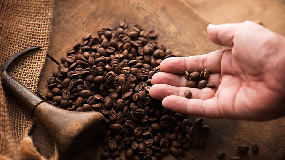 Как оценить качество кофе