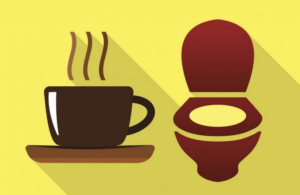 Молоко и кофеин ни при чем: почему после кофе хочется сходить в туалет - Афиша Daily