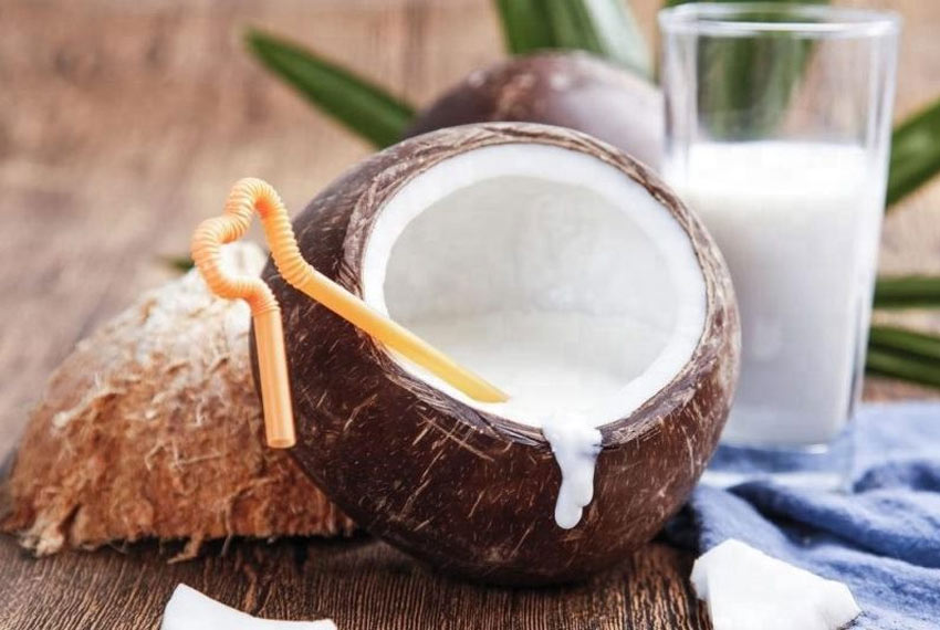 Польза и вред от кокосового молока