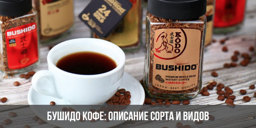 Бушидо кофе: описание сорта и видов