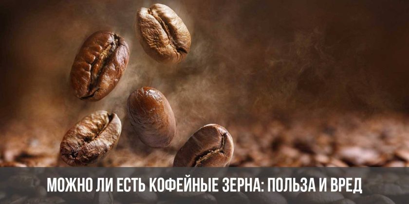 Можно ли есть кофейные зерна: польза и вред