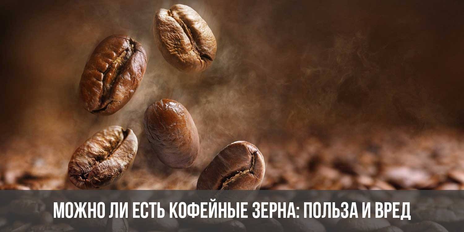 Можно ли есть кофейные зерна и что будет если жевать кофе